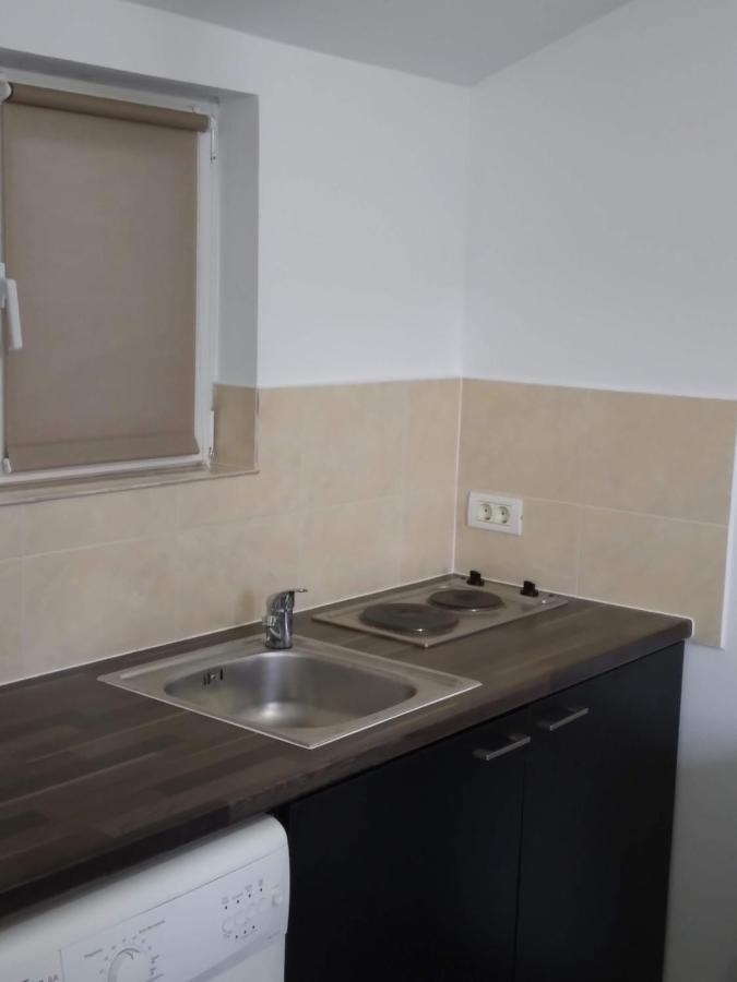 Studio Unique Apartment Timisoara Exterior photo
